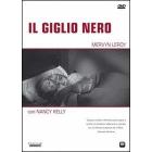 Il giglio nero