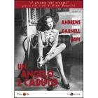 Un angelo � caduto