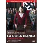 La rosa bianca. Sophie Scholl