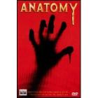 Anatomy