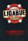 Ligabue. Campovolo