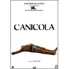 Canicola