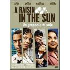 A Raisin in the Sun. Un grappolo di sole