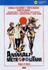 Animali metropolitani