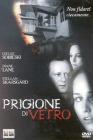 Prigione di vetro