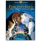 Come cani e gatti