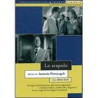Lo scapolo