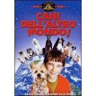 Cani dell'altro mondo