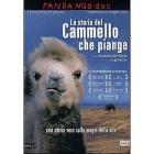 La storia del cammello che piange