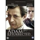 Adam Resurrected