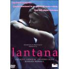 Lantana