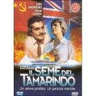 Il seme del tamarindo