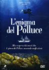 L' enigma del Polluce