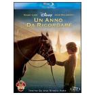 Un anno da ricordare (Blu-ray)