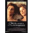 Gocce d'acqua su pietre roventi