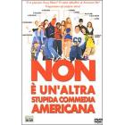 Non � un'altra stupida commedia americana