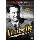 Il ribelle