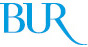 bur