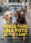 Posso fare una foto al tuo cane? Storie di amore, resilienza, complicità Posso fare una foto al tuo cane? Storie di amore, resilienza, complicità