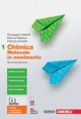 libro di Chimica per la classe 1 B della Maxwell james clerk- vii di Milano