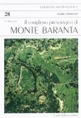 Il complesso prenuragico di monte Baranta edito da Carlo Delfino Editore