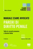 Manuale esame avvocato. Pareri di diritto penale edito da Maggioli Editore