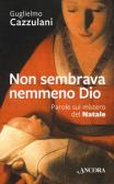 Non sembrava nemmeno Dio. Parole sul mistero del Natale edito da Ancora