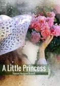 A little princess edito da StreetLib
