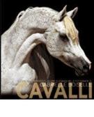 Cavalli edito da White Star