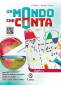 libro di Matematica per la classe 3 D della Sec I Grado Pieraccini di Firenze