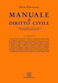 Manuale di diritto civile edito da Edizioni Scientifiche Italiane