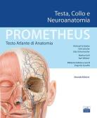 Prometheus. Testo atlante di anatomia. Organi interni di Michael Schunke, Erik  Schulte con Spedizione Gratuita - 9788836230174 in Anatomia