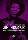 Jimi Hendrix. Una foschia rosso porpora edito da Arcana