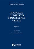 Manuale di diritto processuale civile. Principi edito da Giuffrè