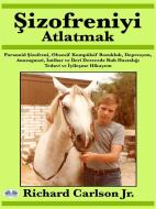 Ebook ?izofreniyi Atlatmak di Richard Carlson edito da Tektime
