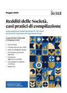 Ebook Redditi delle Società, casi pratici di compilazione di Pietro Braccini, Pierpaolo Ceroli edito da IlSole24Ore Professional
