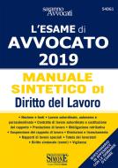 Ebook L'esame di Avvocato 2019 - Manuale sintetico di Diritto del Lavoro di Redazioni Edizioni Simone edito da Edizioni Simone