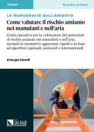 Ebook Come valutare il rischio amianto nei manufatti e nell’aria di Sergio Clarelli edito da IlSole24Ore Professional