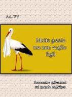 Ebook Molte grazie ma non voglio figli di AA. VV. edito da AA. VV.