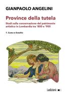 Ebook Province della tutela di Angelini Gianpaolo edito da Ledizioni