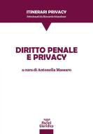 Ebook Diritto penale e privacy di Antonella Massaro edito da Pacini Editore