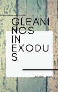 Ebook Gleanings in Exodus di Arthur Pink edito da Darolt Books