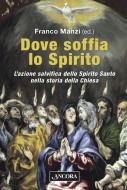 Ebook Dove soffia lo Spirito di Manzi Franco edito da Ancora