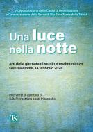 Ebook Una luce nella notte di Vicepostulazione della Causa di Beatificazione e Canonizzazi edito da TS Edizioni