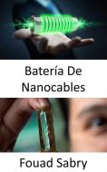 Ebook Batería De Nanocables di Fouad Sabry edito da Mil Millones De Conocimientos [Spanish]