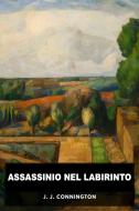 Ebook Assassinio nel labirinto di J. J. Connington edito da Raven Book