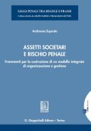Ebook Assetti societari e rischio penale - e-Book di Andreana Esposito edito da Giappichelli Editore