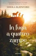Ebook In fuga a quattro zampe di Burnford Sheila edito da Mondadori