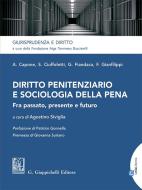 Ebook Diritto penitenziario e sociologia della pena - e-Book di Agostino Siviglia edito da Giappichelli Editore