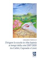 Dirigere la scuola in Alta Irpinia ai tempi della crisi 2007-2020 tra Calitri, Caposele e Lioni di Gerardo Vespucci edito da Delta 3